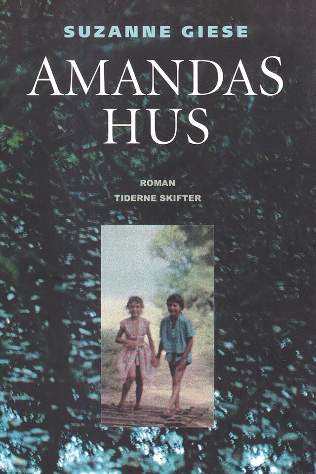 Book cover for Amandas hus