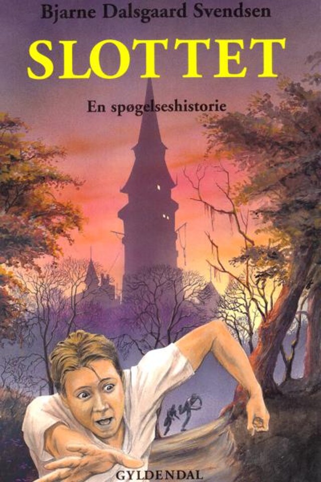 Book cover for Slottet