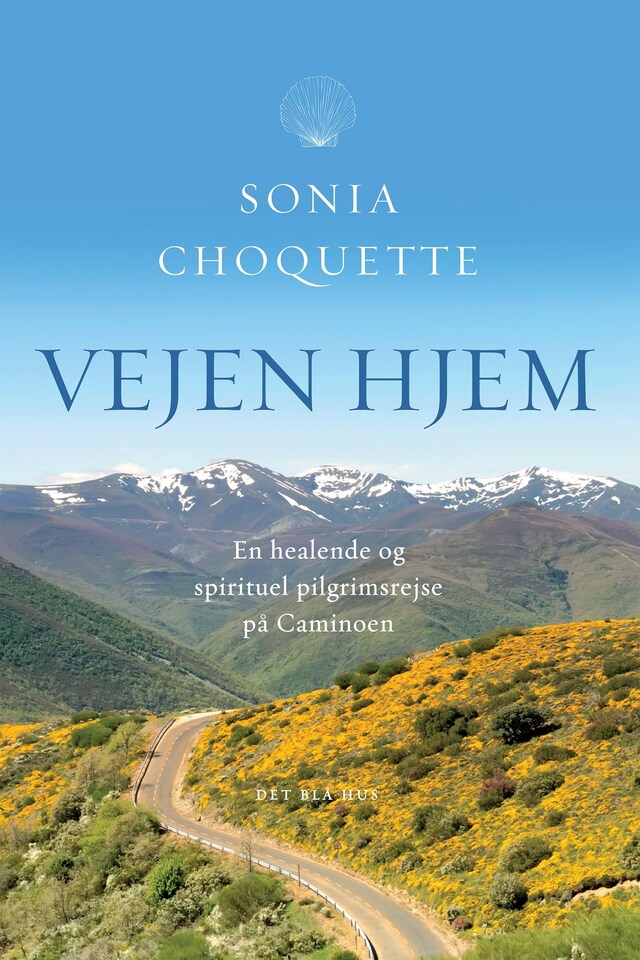 Book cover for Vejen hjem