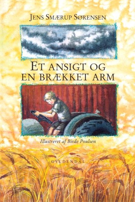 Et ansigt og en brækket arm bookCoverFor