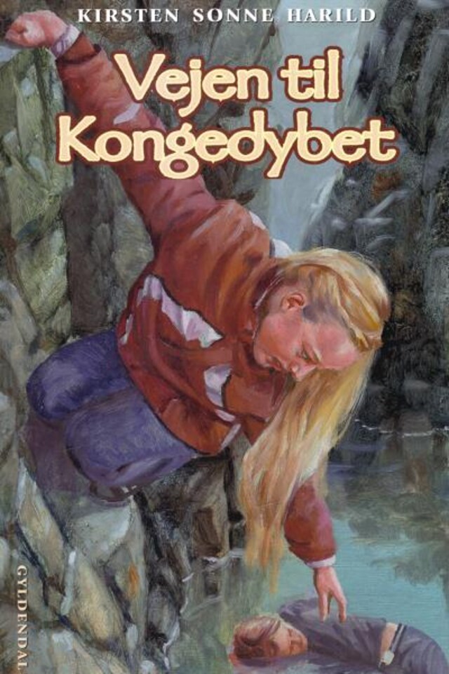 Book cover for Vejen til Kongedybet