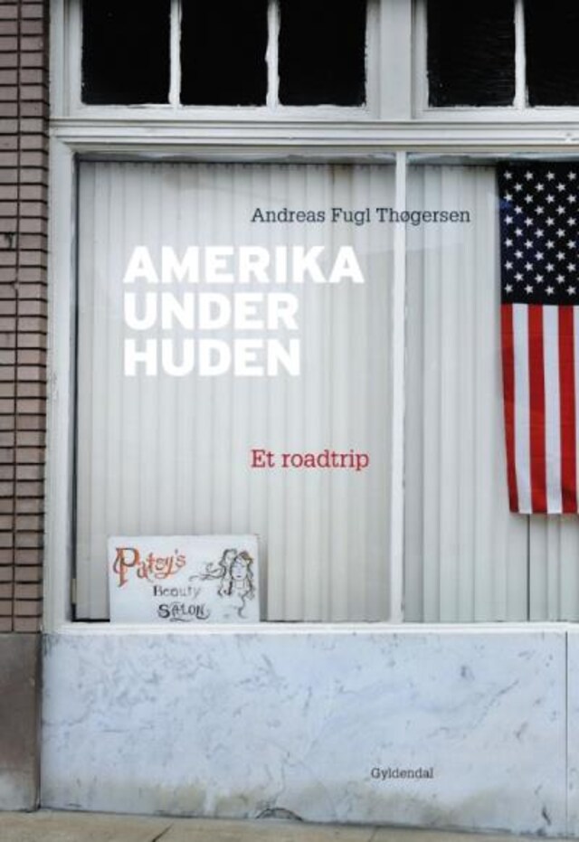 Couverture de livre pour Amerika under huden