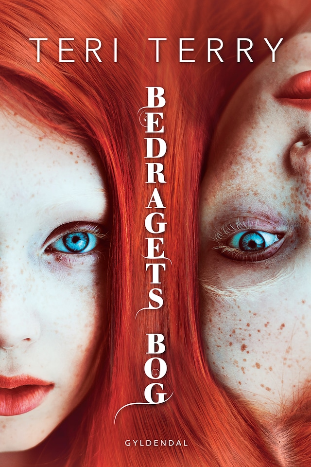 Book cover for Bedragets bog