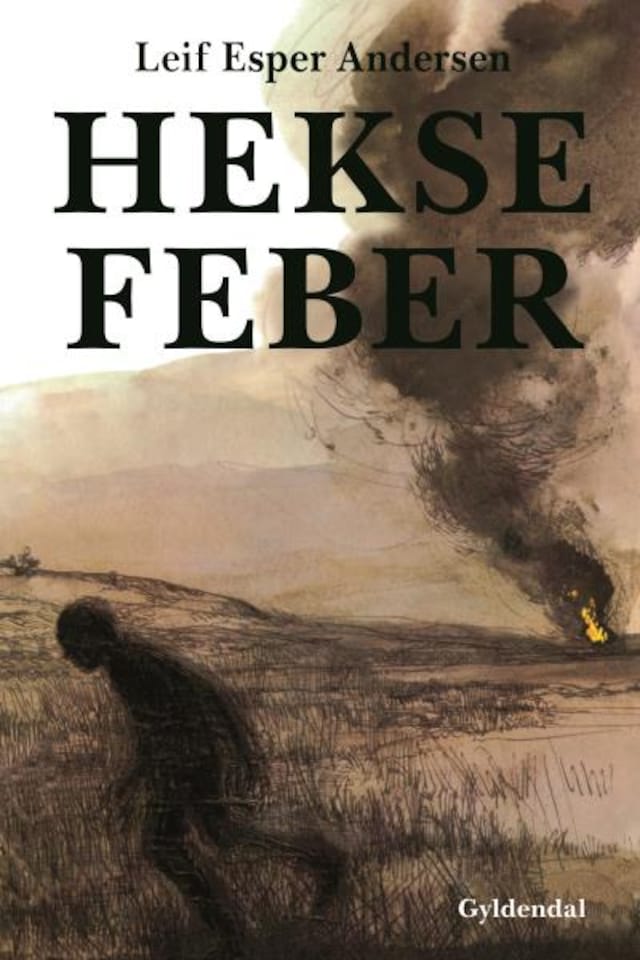 Book cover for Heksefeber