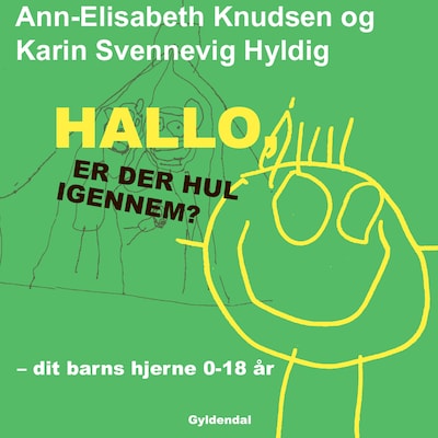 Hallo - er der hul igennem?