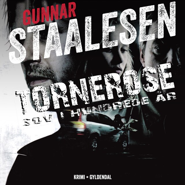 Couverture de livre pour Tornerose sov i hundrede år