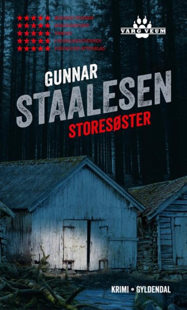 Book cover for Storesøster
