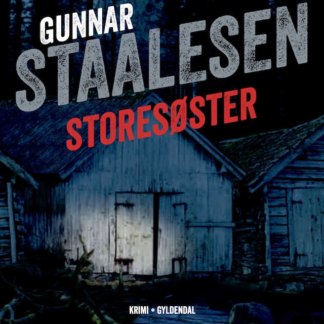 Book cover for Storesøster