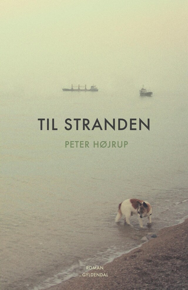 Book cover for Til stranden