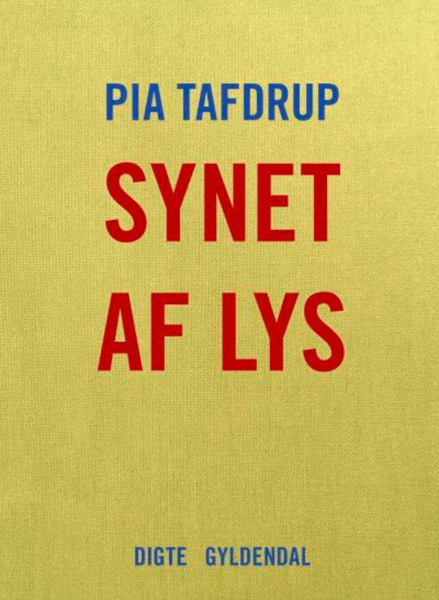 Book cover for Synet af lys