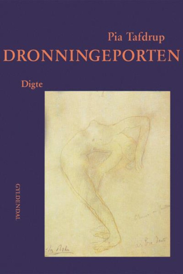 Boekomslag van Dronningeporten