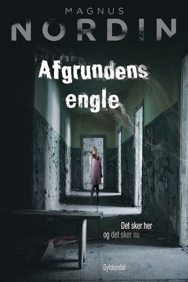 Book cover for Afgrundens engle