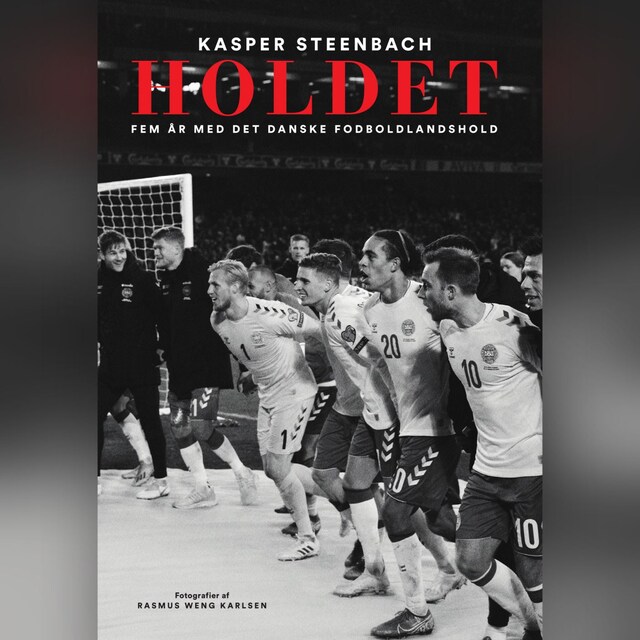 Book cover for Holdet