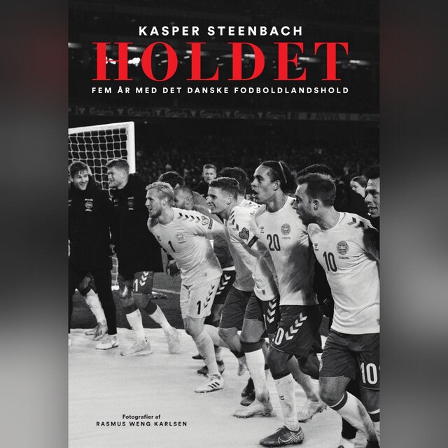 Buchcover für Holdet