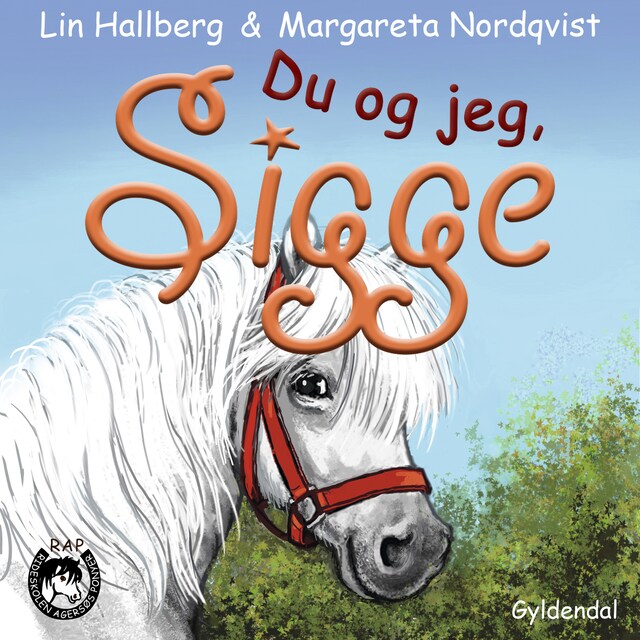 Book cover for RAP-klubben 13 - Du og jeg, Sigge