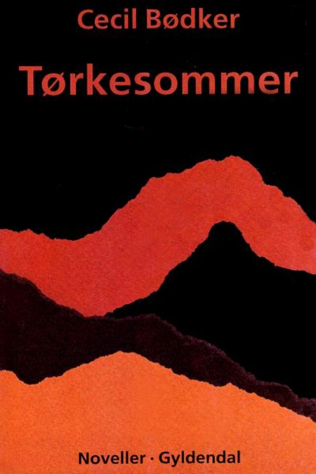 Copertina del libro per Tørkesommer
