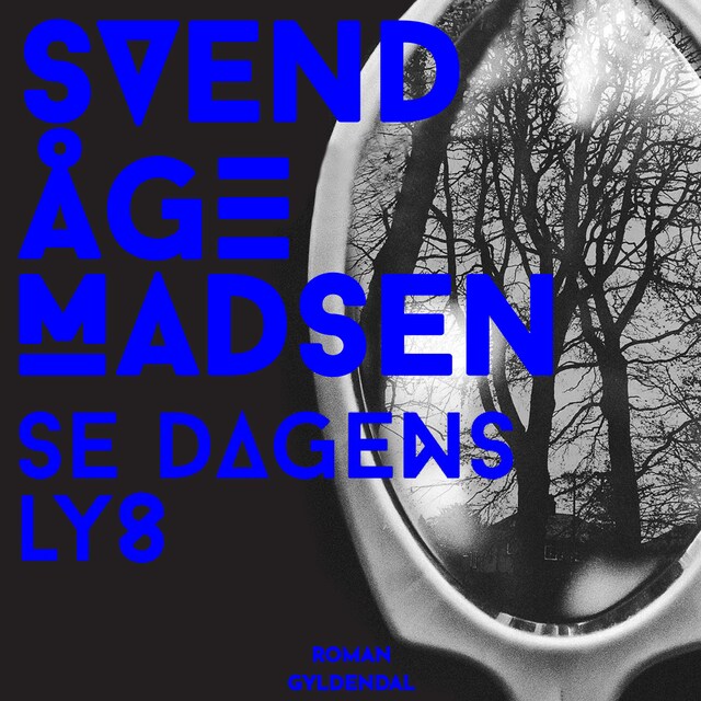 Book cover for Se dagens lys