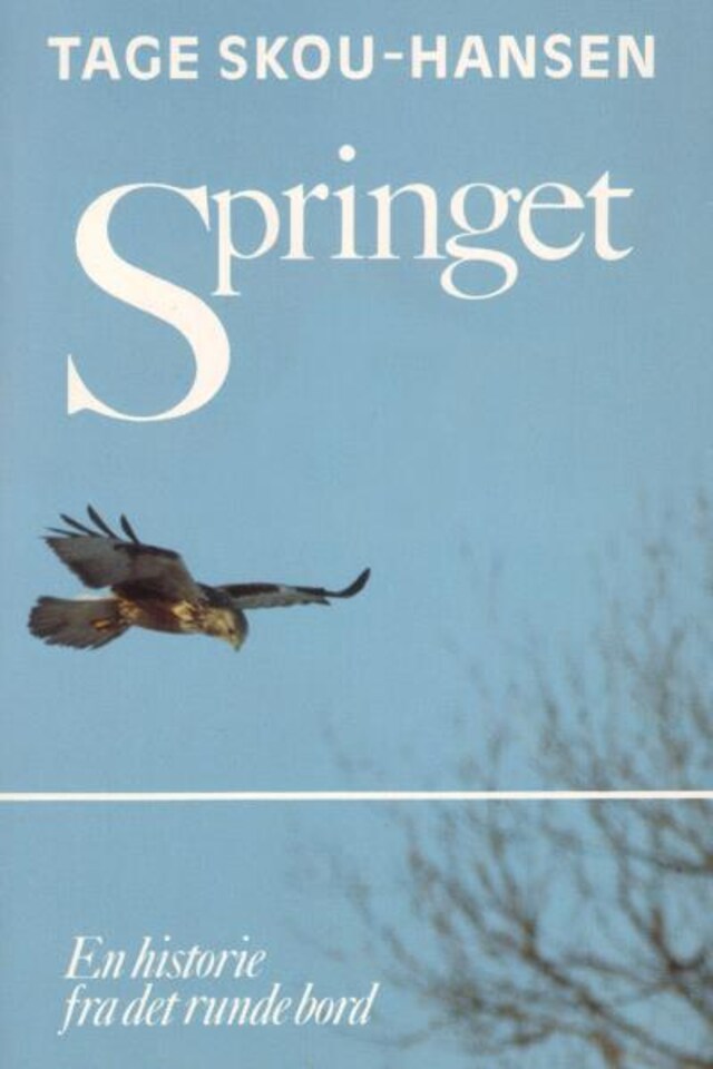 Couverture de livre pour Springet