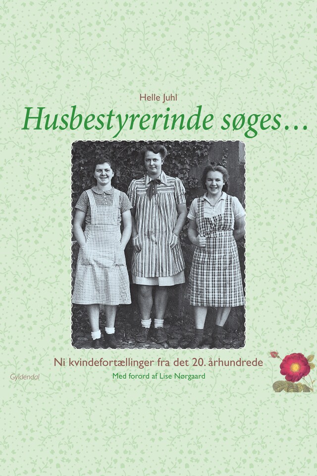 Buchcover für Husbestyrerinde søges