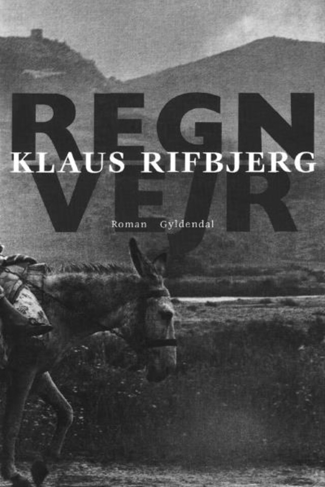 Book cover for Regnvejr