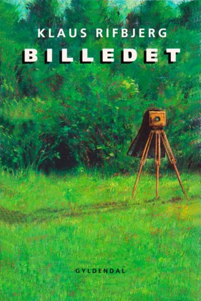 Book cover for Billedet