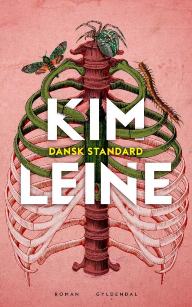 Book cover for Dansk Standard