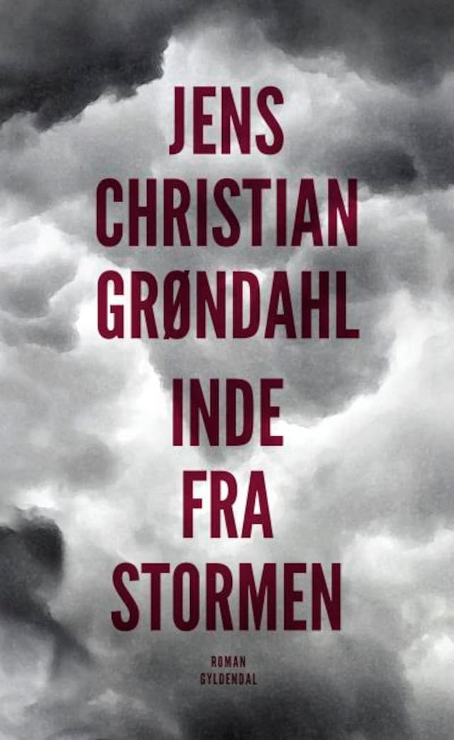 Book cover for Inde fra stormen