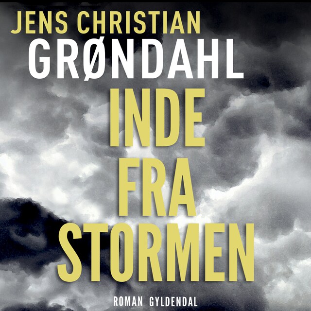 Book cover for Inde fra stormen