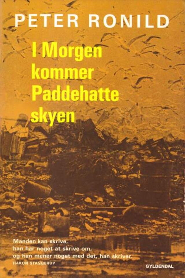 Book cover for I morgen kommer paddehatteskyen