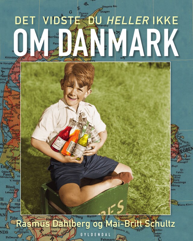 Couverture de livre pour Det vidste du heller ikke om Danmark