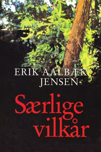 Særlige vilkår bookCoverFor
