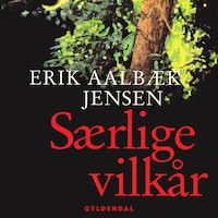 Særlige vilkår