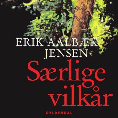Særlige vilkår