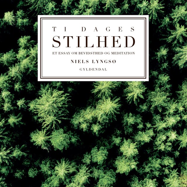 Book cover for Ti dages stilhed