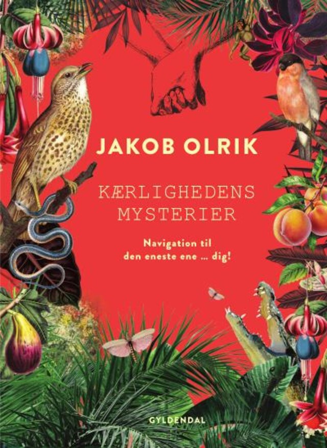 Book cover for Kærlighedens mysterier