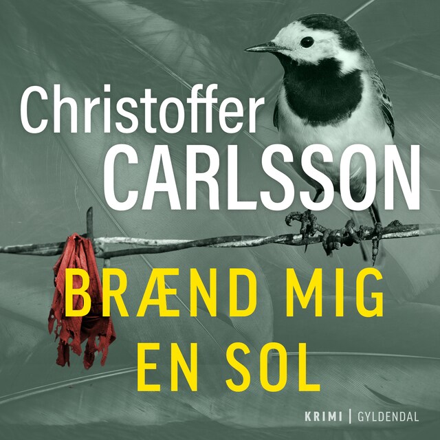 Buchcover für Brænd mig en sol