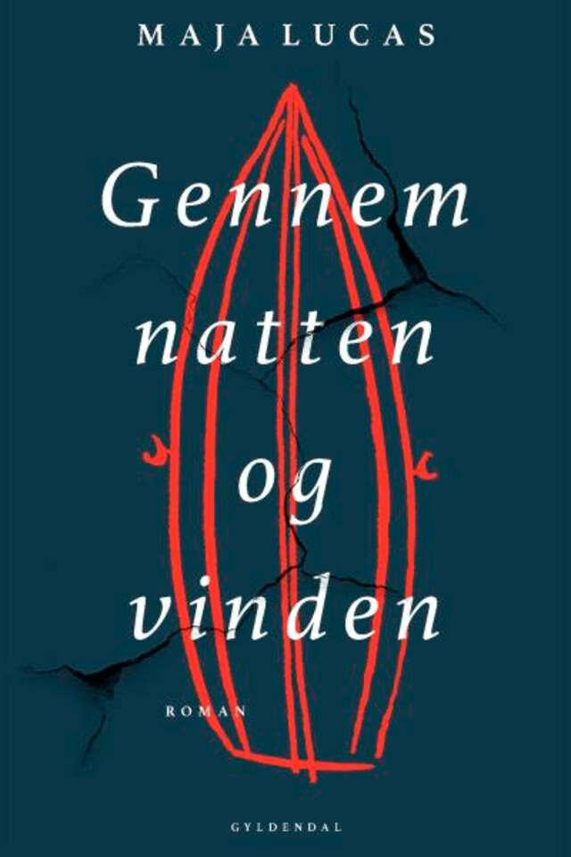Book cover for Gennem natten og vinden