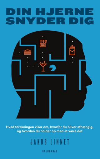 Din hjerne snyder dig bookCoverFor