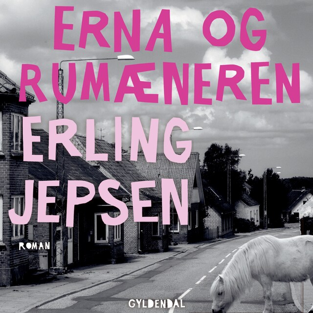 Book cover for Erna og rumæneren