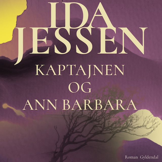 Boekomslag van Kaptajnen og Ann Barbara