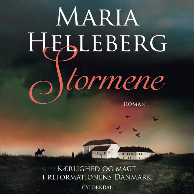 Book cover for Stormene
