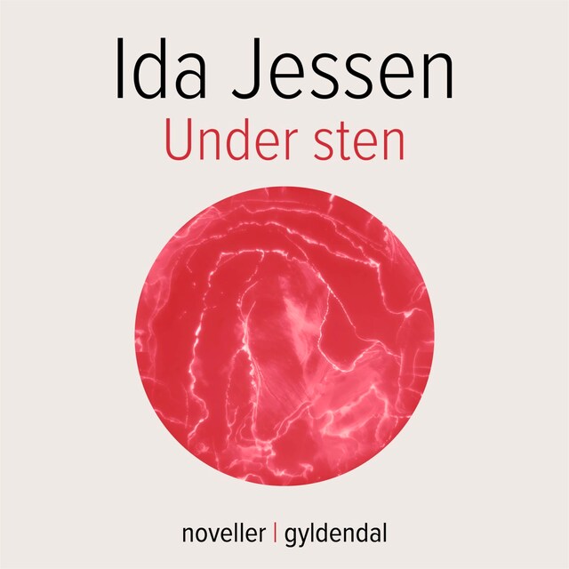 Portada de libro para Under sten