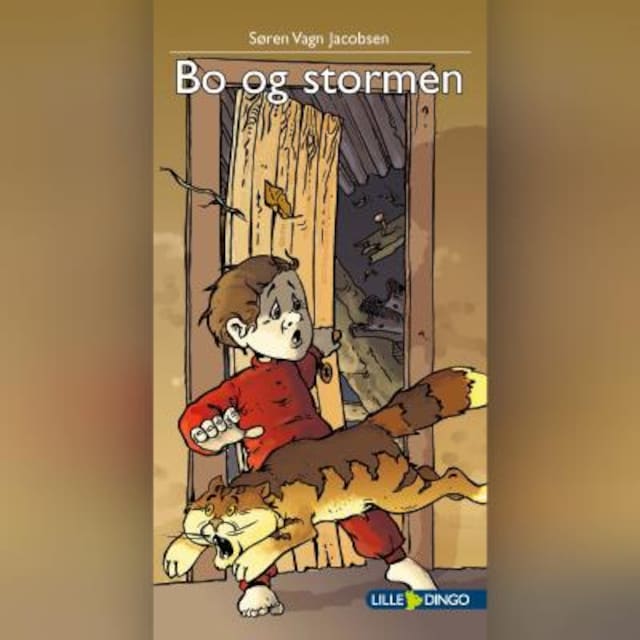 Book cover for Bo og stormen
