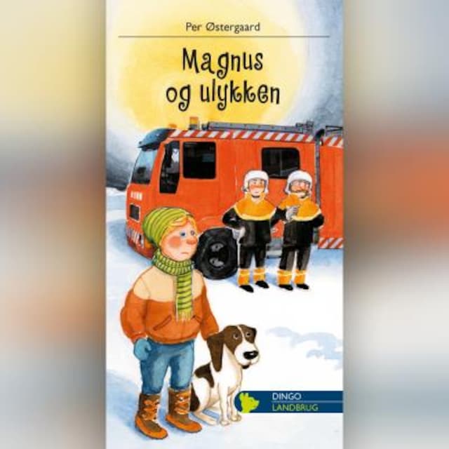 Buchcover für Magnus og ulykken