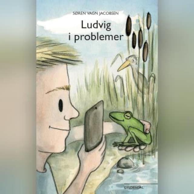 Okładka książki dla Ludvig i problemer