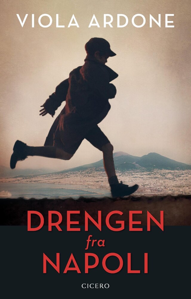 Book cover for Drengen fra Napoli