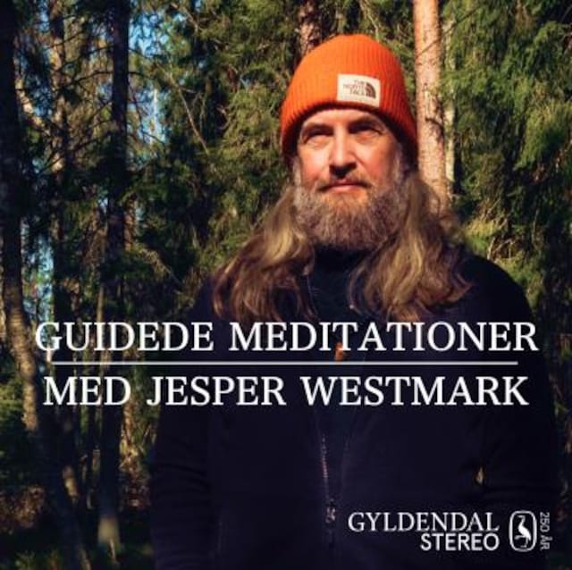 Buchcover für Guidede meditationer med Jesper Westmark