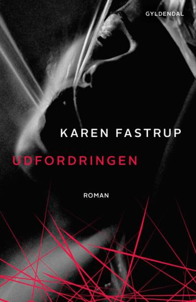 Book cover for Udfordringen