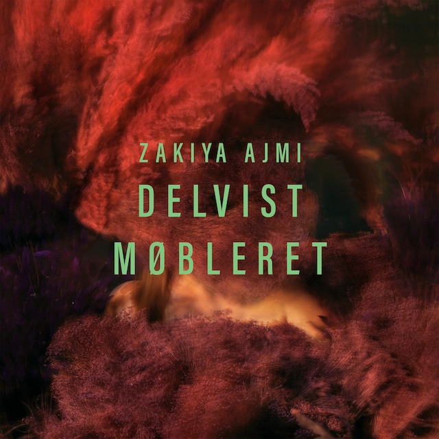 Book cover for Delvist møbleret