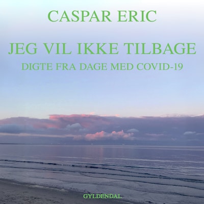 Jeg vil ikke tilbage